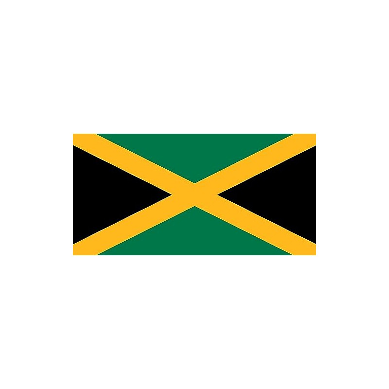Premium Flag - 90 x 150 cm / 150 cm