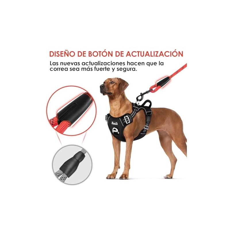 SlowTon Correa para Perro, 1.5m Grande Mediano Pequeño Correas de