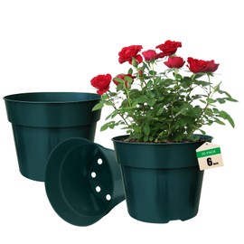 RooTrimmer RooTrimmer 50 Pack 6 Inch Nursery Pots, Planting Grow Plastic Flower Pots, Thick Planters with Drainage Holes for Outdoor/Indoor Plants Succulent Herb (Green)