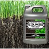 Seedlingers Fix & Feed Lawn Food Gallon Concentrate