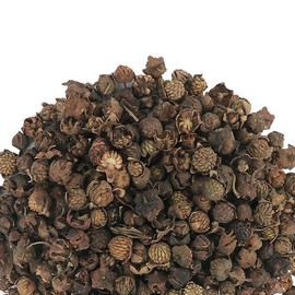 Donguihanjae 동의한재 중국산 말린 복분자 600g Dongi Hanjae Dried Korean Black Raspberry from China 600g