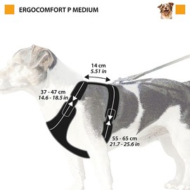 Ferplast Dog Harness for Medium Size Dog ERGOCOMFORT MEDIUM, Adjustable Harness for Dog, Comfortable, Padded, Double Micro-adjustment Closure, Quick Release