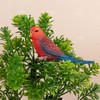 AUEAR, 4 Pack Bird Decorative Figurines Mini Fake Parrot Ornaments
