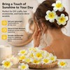 Hair Accessories Set - Plumeria Hair Clip - Leaf Clip