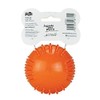 Fancy Pets Juguete con Pelota de Tenis para Perro