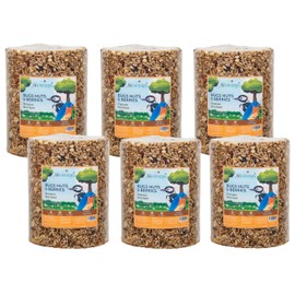 JCs Wildlife Bugs Nuts and Berries Premium Bird Seed Large Cylinder, 3.8 lb (6)