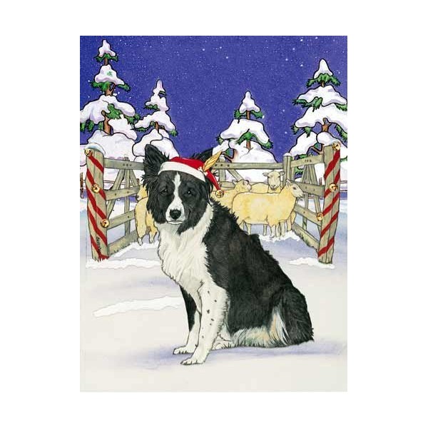 Pipsqueak Border Collie Christmas Cards Santa's Cap : 10 Holiday