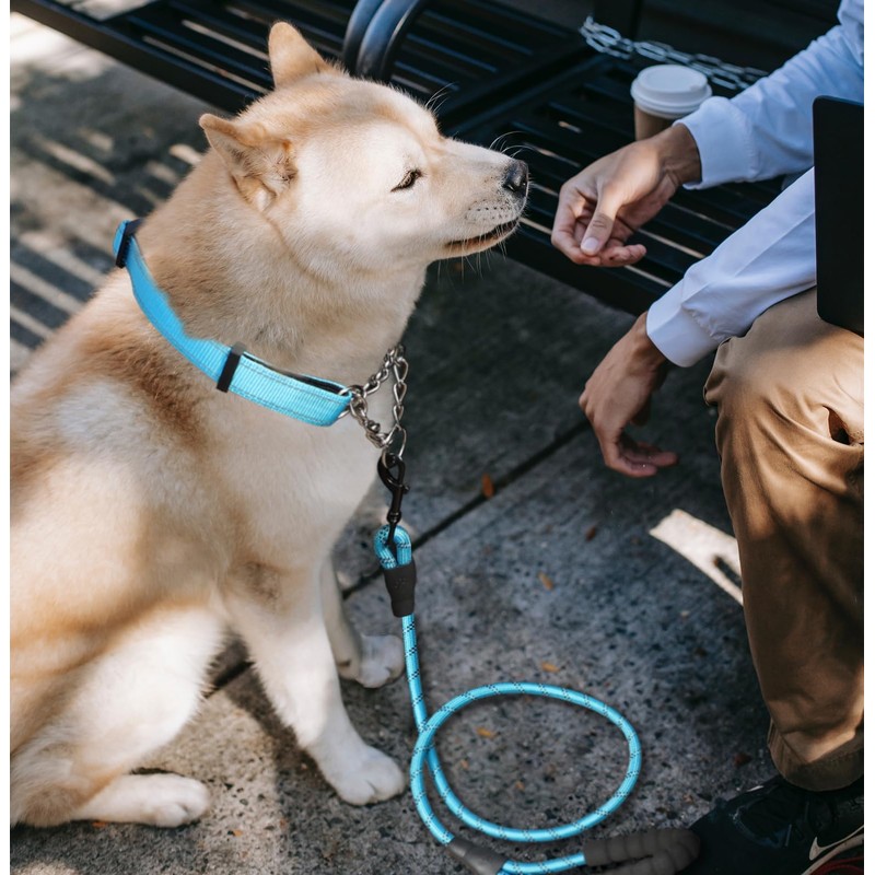 LOS ANDES Dog Choke Collar Martingale Collar with Limited Chain