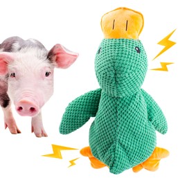 OOXYG Pig Toy - Toys for Pigs, Duck Squeaky Pig Toy - Calming Duck Toys for Mini Pigs, Interactive Pig Chew Plush Enrichment Ducks for Pet Pigs Supplies to Keep Them Busy