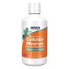 INNER | F-CUS | L-Glutamina, Bacopa, L-Tirosina, Complejo B |
