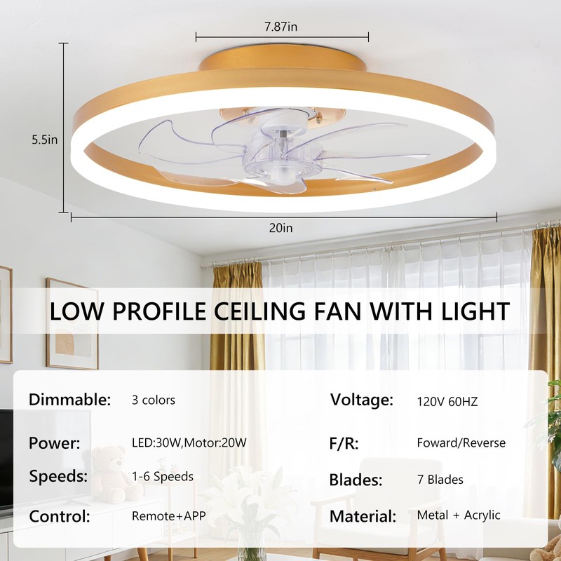 ORITHAM 20" Low Profile Ceiling Fans with Lights and Remote