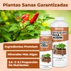 Fertilizante para Jardín, Complete Liquid Garden Plant Food, 8 oz