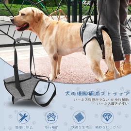Dog Care Harness, Dog Walking Assistant Harness, Dog Assistance Harness, Support Harness for Dogs, Support Harness, For Small Dogs, Medium Dogs, Large Dogs, Large Dogs, Cats, Pet Supplies, Low Burden