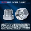GOMJET 80 PC ORFS Master Industrial Hydraulic Cap and Plug