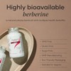 Bio-Berberine Advanced 500mg - High Strength Women & Mens Supplement