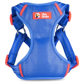 The Dodo Blue Dog Harness - Extra Small; Easy Step-in Harness for Dogs; Breathable Mesh Fabric; Snap-Together, Pinch Release Buckle, Ring for Leash Attachment; Everyday Pet Apparel