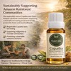 Nativilis Copaiba Balsam Essential Oil (10ml) - 100% Natural (Copaifera