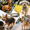 Kazazoo Dog Collar Cute and Soft Nylon Puppy Collar for