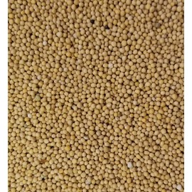 YELLOW Mustard Seeds 5 Pounds Bulk Bag-Heat Sealed to Maintain Freshness