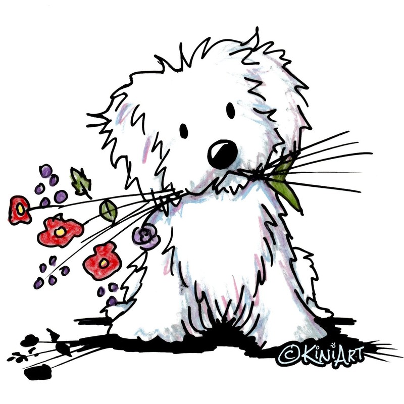 CafePress Coton De Tulear Gardener Oval Car Bumper Sticker