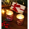 Pandachilla Christmas Berry Series Soy Wax Candle (Christmas Berry)