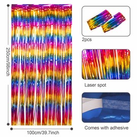 2 Pack Fringe Curtain Door Curtain Tinsel Curtain Streamer Party Curtain Background Decoration for Birthday School Graduation Girls Hen Night Decoration 1x2.5m