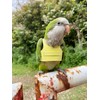 HEZHUO Bird Flight Harness Vest, Parrot Suit with Leash for