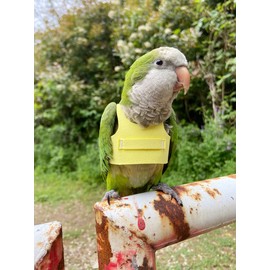 HEZHUO Bird Flight Harness Vest, Parrot Suit with Leash for Parakeets Cockatiels Conures Budgies, Flying Clothes Rope and Handle Outdoor Activities Training, Anti Bite (2M, Yellow)