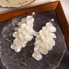 Tassel Shell Earrings for Women White Shell Statement Sea Summer