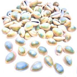 50pcs, Grey Conch Shells, Shell Beads, Bracelet Making, for Bracelet Necklace Jewelry Earring Making, Amulet, Seashell Loose Beads 18~22mm, puka Beads, DIY