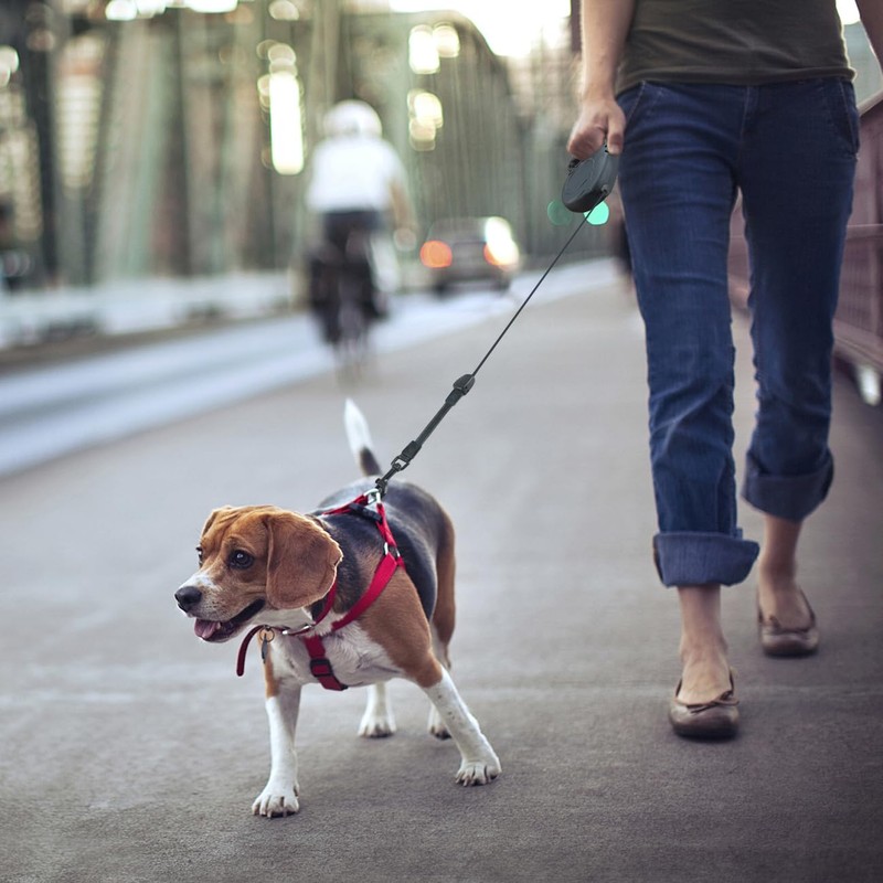Idepet Heavy Duty Retractable Dog Leash for Small and Medium