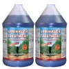 Quality Chemical Sprinkler Treatment Rust Stain Preventer - 2 Gallon