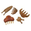 Meridian Massage Tool Kit Wood 3pcs Meridian Comb 2pcs Nose