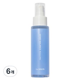 Partner_Reference 더샘 스키니 밸런스 수분 미스트 75ml 6개 / 더샘 스키니 밸런스 수분 미스트 75ml 6개