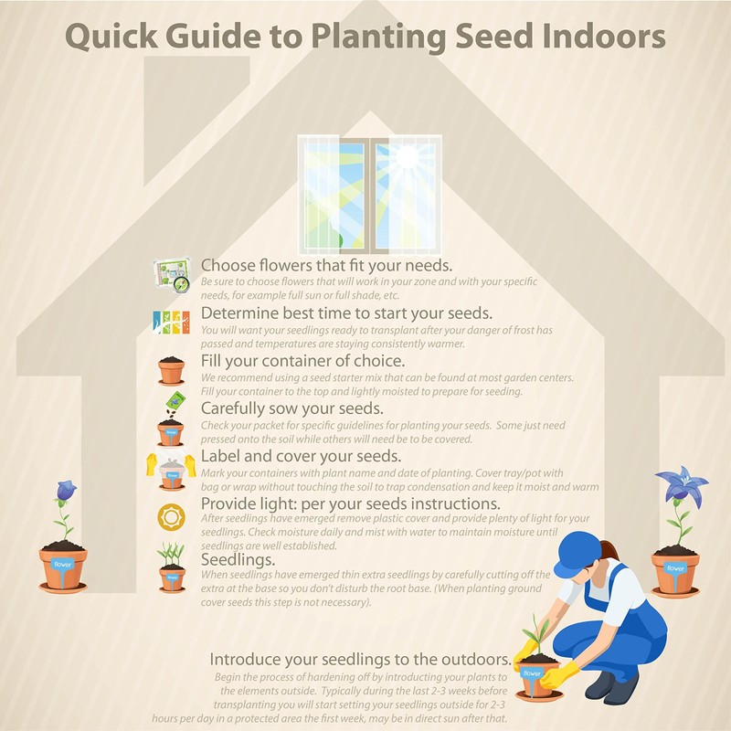 Outsidepride Annual 100 Seeds Ipomoea Alba Moonflower Vine Seeds for