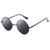 Pro Acme Retro Small Round Polarised Sunglasses for Men Women,