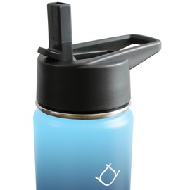 Hidranur Termo de Acero Inoxidable Doble Aislamiento Térmico, Termo Para Café, 3 Tapas Herméticas, 2 Popotes, 24 Hrs de Agua Caliente y Fría (Verde, 18 Oz (532.324 ml))