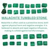 Prajet Crystal Natural Malachite Tumbled Stones 100 Grams Polished 0.75–1