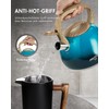 Poliviar Modern Kettle Induction Whistling Kettle Stainless Steel Tea Kettle