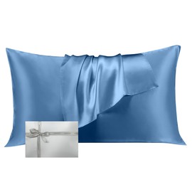 LINENOVA 100% Mulberry Silk Pillowcase for Hair and Skin, Both Sides 22 Momme Silk Queen Pillow Cover, Smooth Breathable Ash Blue Pillow Case with Hidden Zipper, Gifts for Women 1 Pack(50 * 75cm)