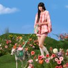 VETRESKA Betresca Flora Harness Lead Backpack Set (L)Dog Harness for