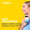Wellgard Vegan Vitamin C and Zinc - Maximum Recommended Daily