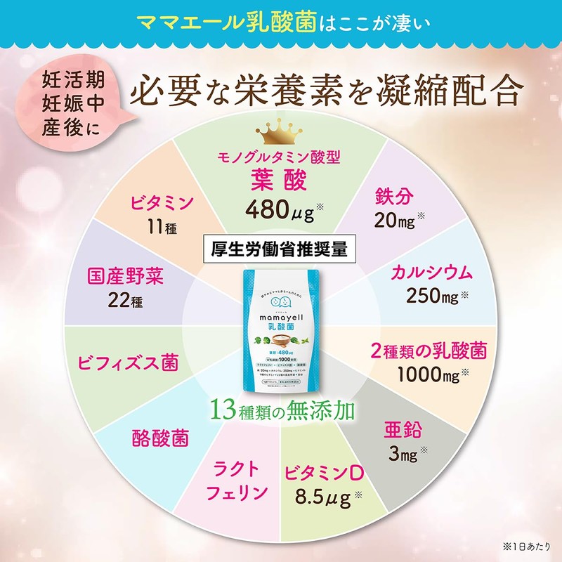 ママエール乳酸菌 葉酸 高配合 480μg 妊婦 妊娠 産後 サプリメント W乳酸菌 鉄