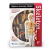 Learning Resources Skeleton Model, Science Classroom Must Haves, STEM Student