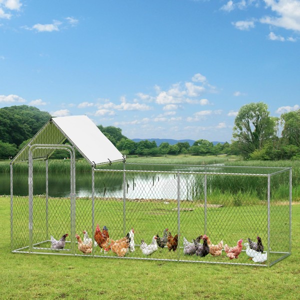 HarmonyHealth Chicken Coop, Large Metal Chicken Run, Outdoor Chicken Pen