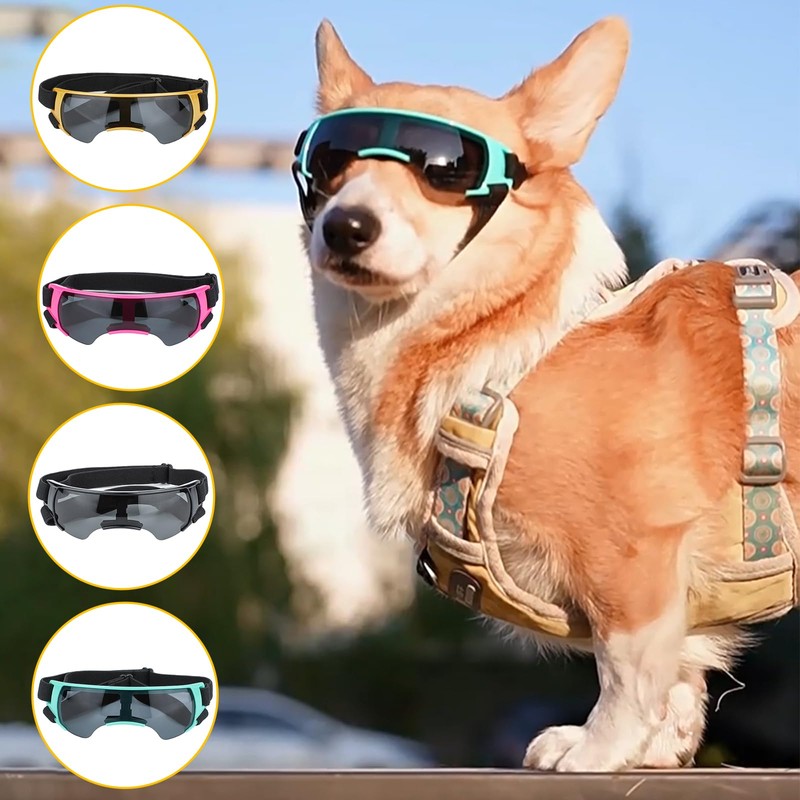 Sunglasses for Small Dogs, Eye Protection Glasses, Wind Protection Glasses,