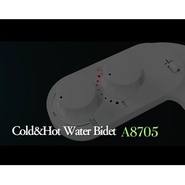 Hot & Cold Water Toilet Bidet