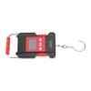 USB Charging, Fish Scale Digital Weight, High Accuracy, 110lb Backlit