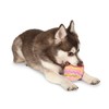 Midlee Easter Egg Plush Dog Toy - Pink (Small)