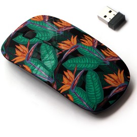 CJCBROES 2.4G Wireless Mouse with Cute Pattern Design for All Laptops and Desktops with Nano Receiver - Elegant Strelitzia Flowers